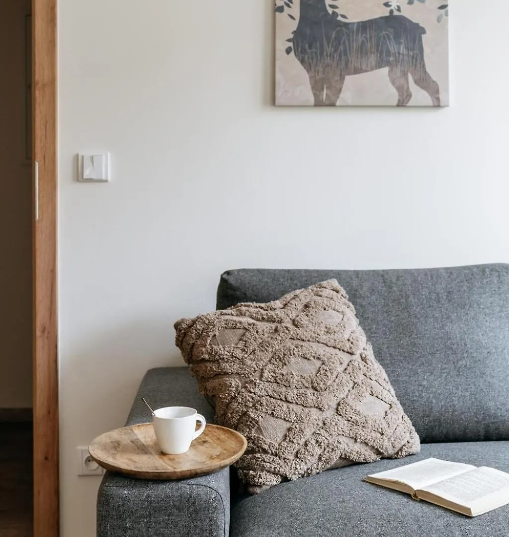 Apartment Three Bedroom Aparment With Terrace By Prague Days